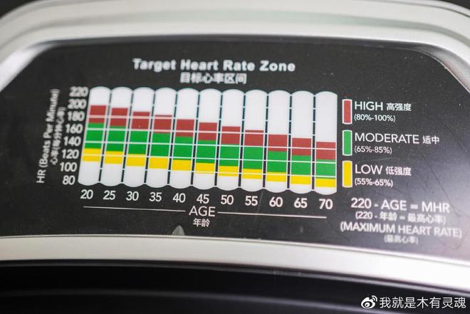 跑步机 减震什么牌子好_牌子减震跑步机好吗_牌子减震跑步机好用吗知乎