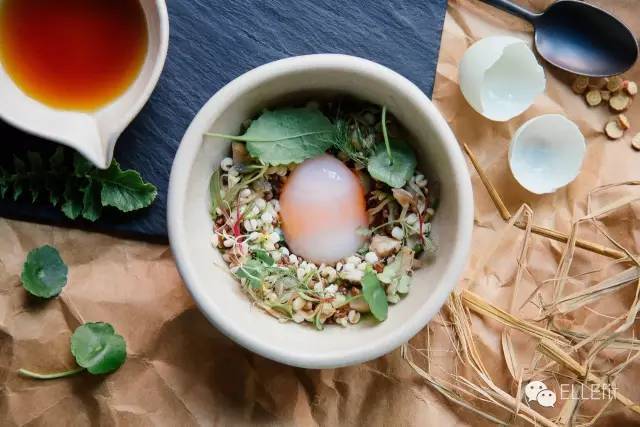 360综合训练器_综合训练器安装视频教程_综合训练器训练计划