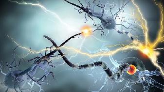 练习瑜伽月经提前半个月_调节月经瑜伽动作_月经瑜伽体式