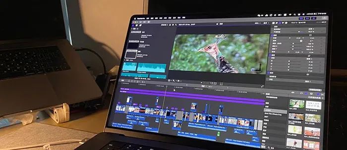 综合训练器安装视频_视频设备安装操作规程_视频器训练综合安装方法