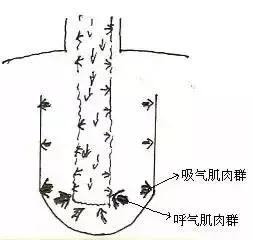 民歌发声训练方法_民歌如何发声_声乐民歌发声练习视频
