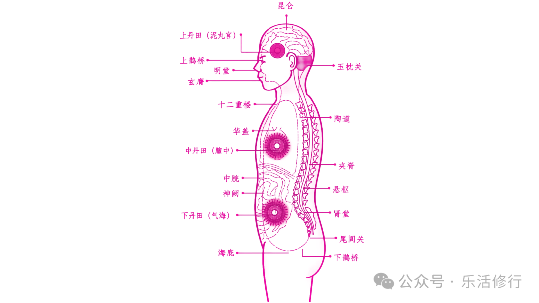 练习意念力_练念力的技巧_意念力九个训练方法视频