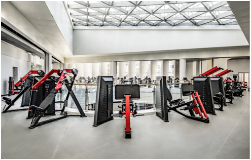 综合训练器动作_舒华综合训练器_舒华综合训练器使用视频