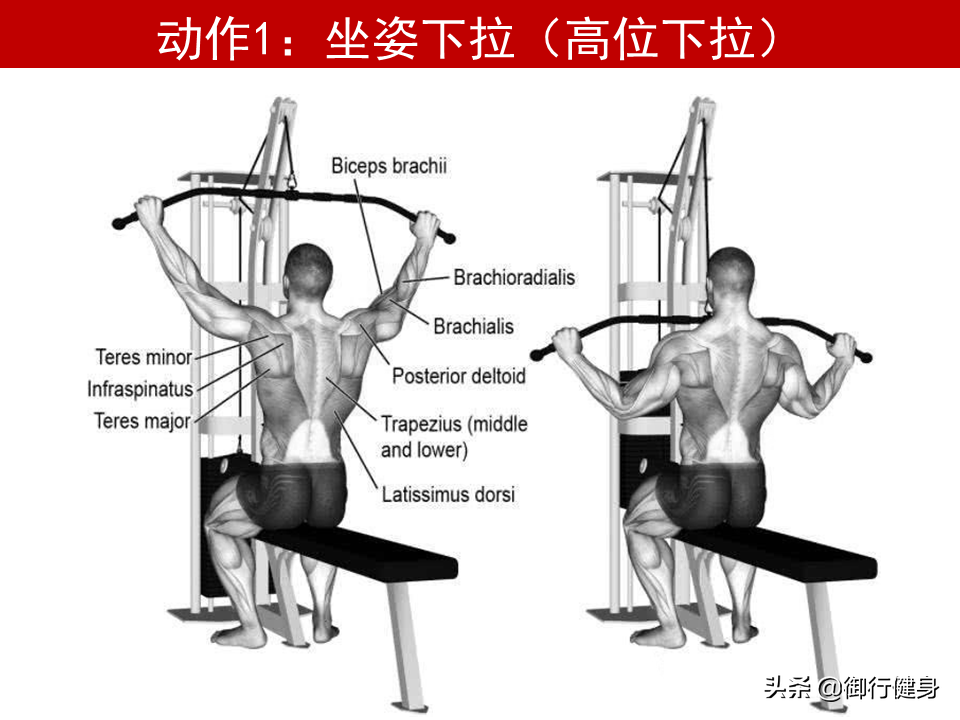 单杠如何训练方法_单杠二练习训练方法_训练单杠的训练方案