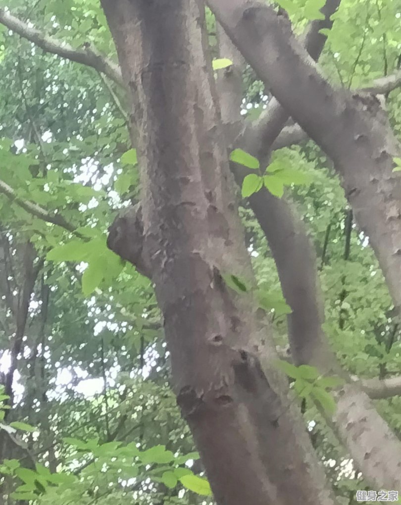 适合健身后吃的东西