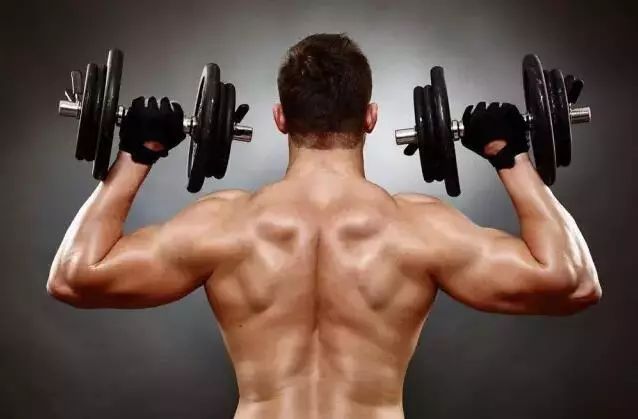 健身手套新鲁鹰_harbinger健身手套_新鲁鹰手套