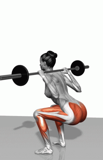 综合训练器 胸肌_器械练胸_胸肌训练器怎么用