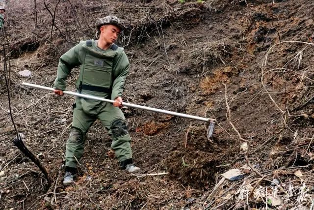 开元ky888棋牌官网版 清明｜我站在你热血浸染的土地上，静静沉思