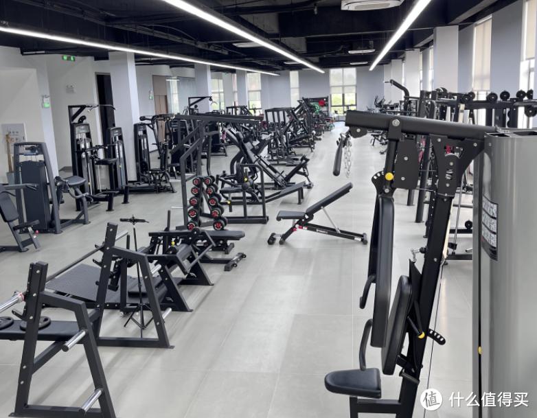史密斯综合训练器使用方法_史密斯机综合训练器哪个牌子好_综合训练器 史密斯机