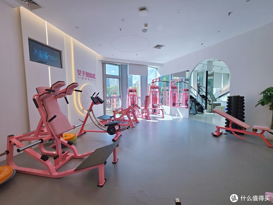 史密斯机综合训练器哪个牌子好_综合训练器 史密斯机_史密斯综合训练器使用方法