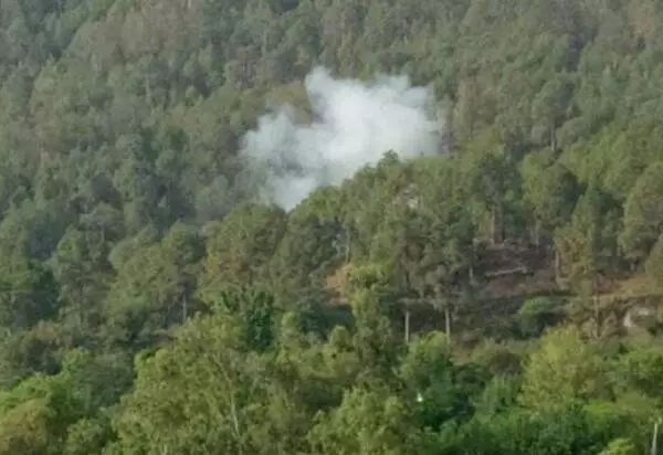 滚动新闻新浪网_中新网娱乐滚动新闻_滚动新闻app