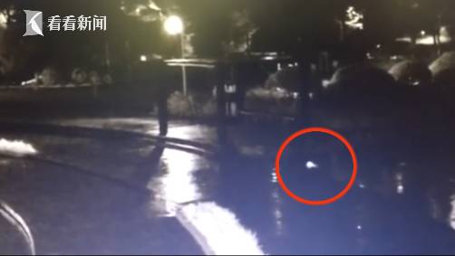 滚动新闻app_中新网娱乐滚动新闻_滚动新闻新浪网