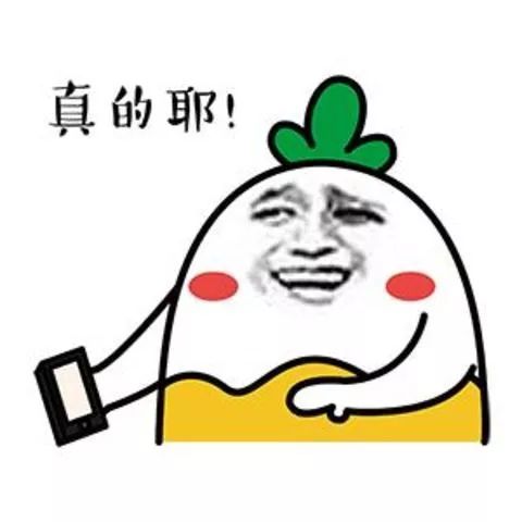 kaiyun体育登录网页入口 健身房小白看过来，健身器材使用大盘点