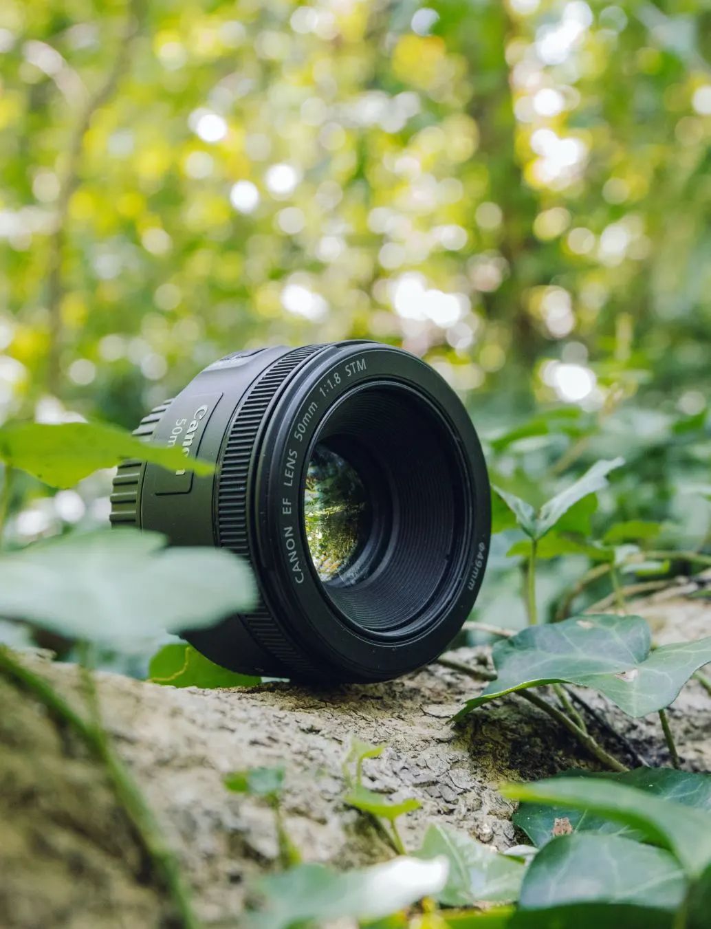 金圈镜头_镜头金圈是什么意思_红圈镜头和金圈镜头的区别