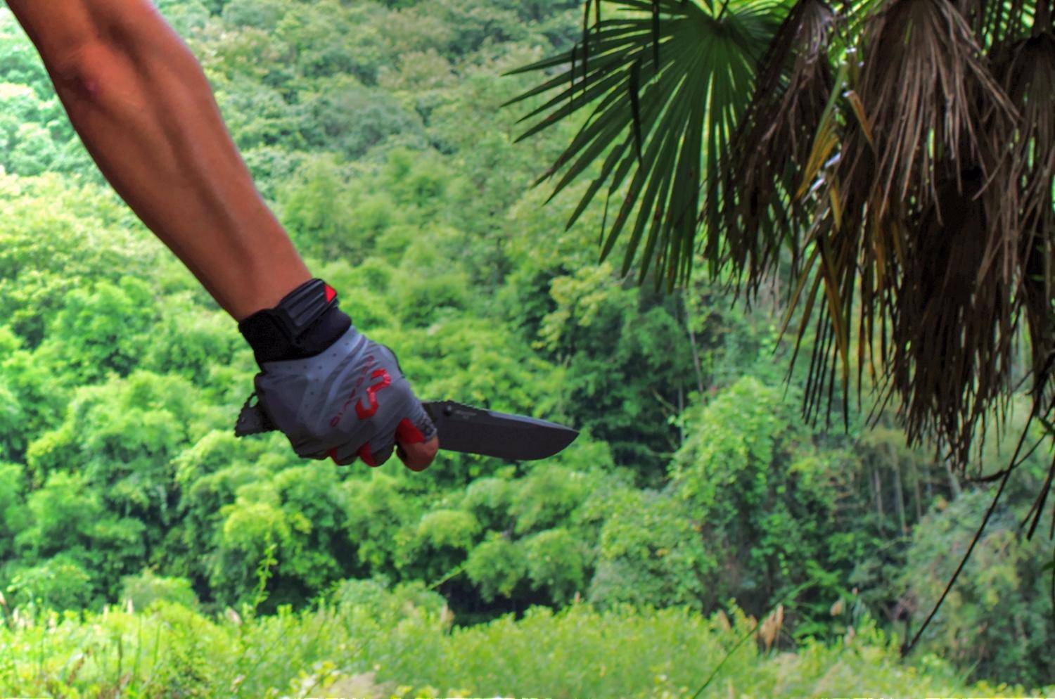 健身手套作用_手套健身专业术语_专业健身手套