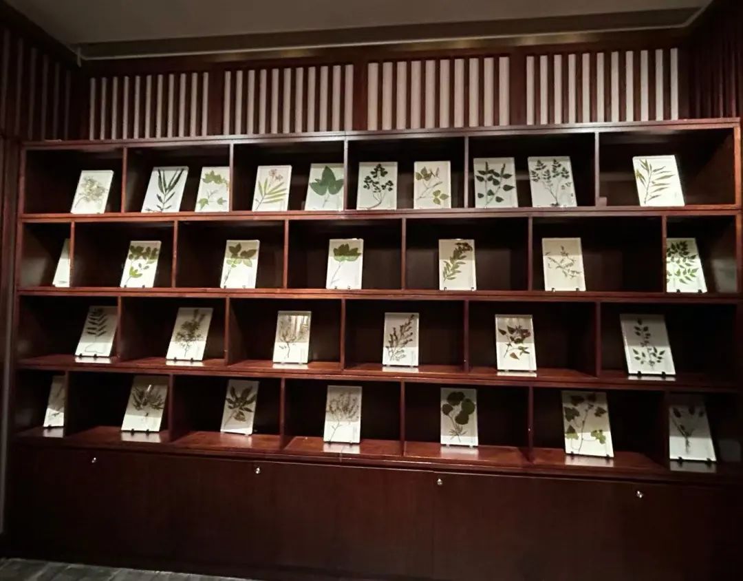 alterg反重力跑步机官网_反重力跑步鞋_反重力跑步机 中国