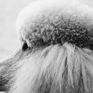 予以矿工的情况说明怎么写_工伤备案情况说明格式_公司拖欠工资劳动局情况说明怎么写