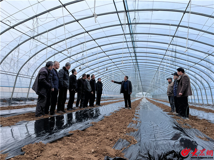 山东东平村庄搬迁规划_梯门镇全域特色农业发展模式_东平县梯门镇特色农业发展