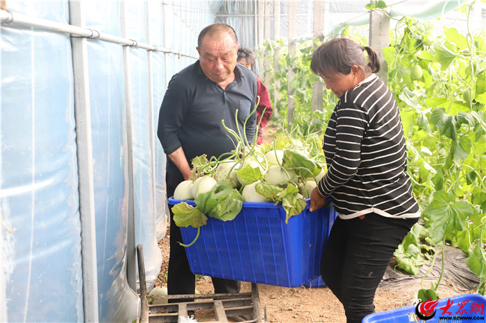 梯门镇全域特色农业发展模式_山东东平村庄搬迁规划_东平县梯门镇特色农业发展