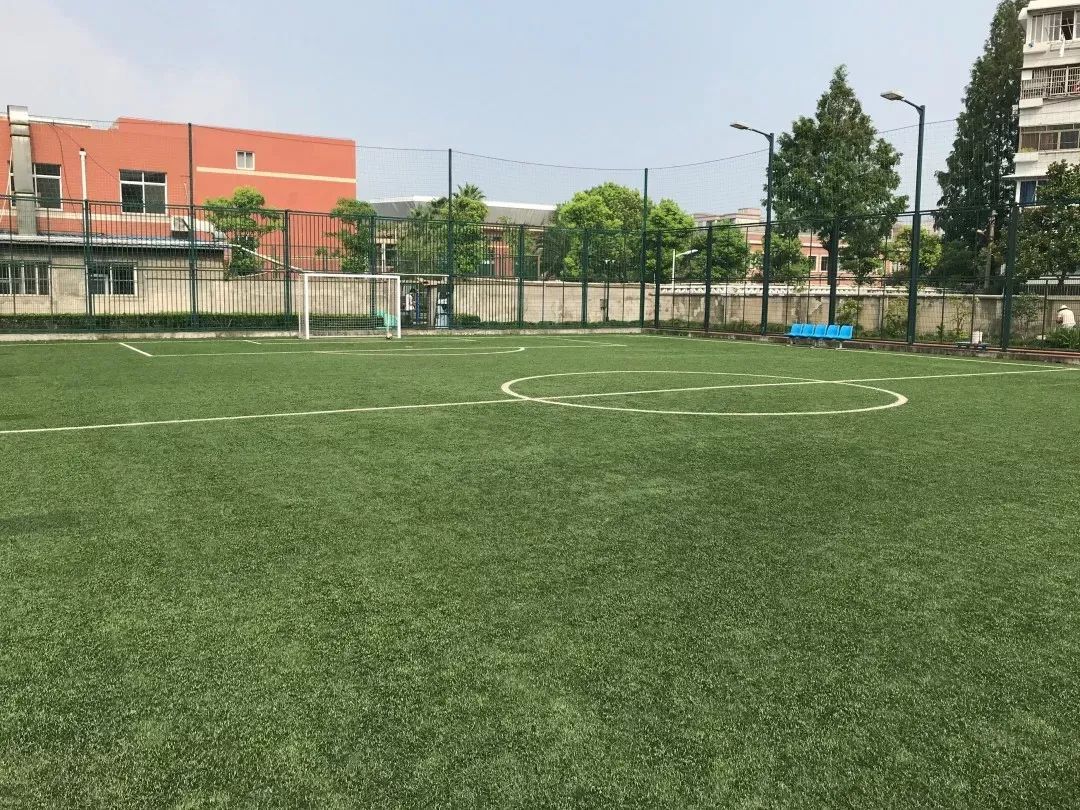 飞鸟器材标准姿势_大飞鸟综合训练器_飞鸟训练器肌肉示意图