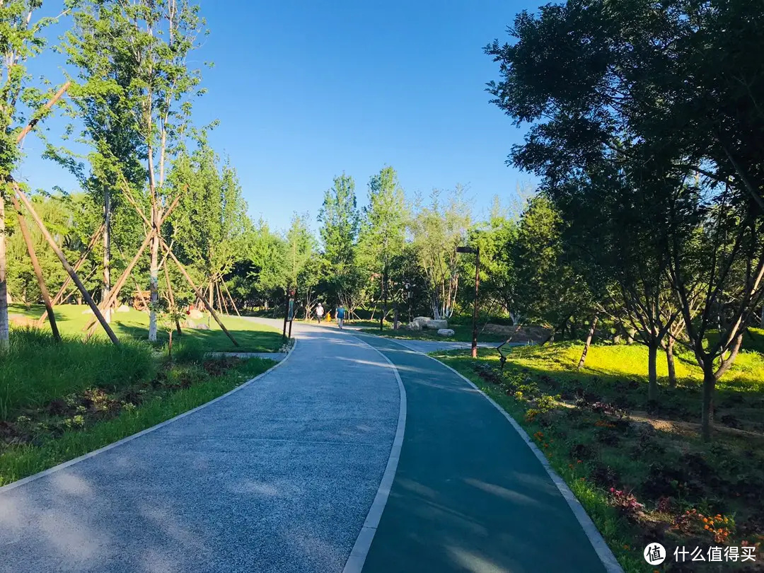 开元ky888棋牌官网版 避雷篇：力量器械怎么买？避雷攻略来了