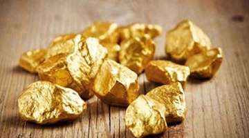 南昌小蓝汽车博物馆开馆难_江西某县领导干部学历问题_南昌汽车产业投资有限公司