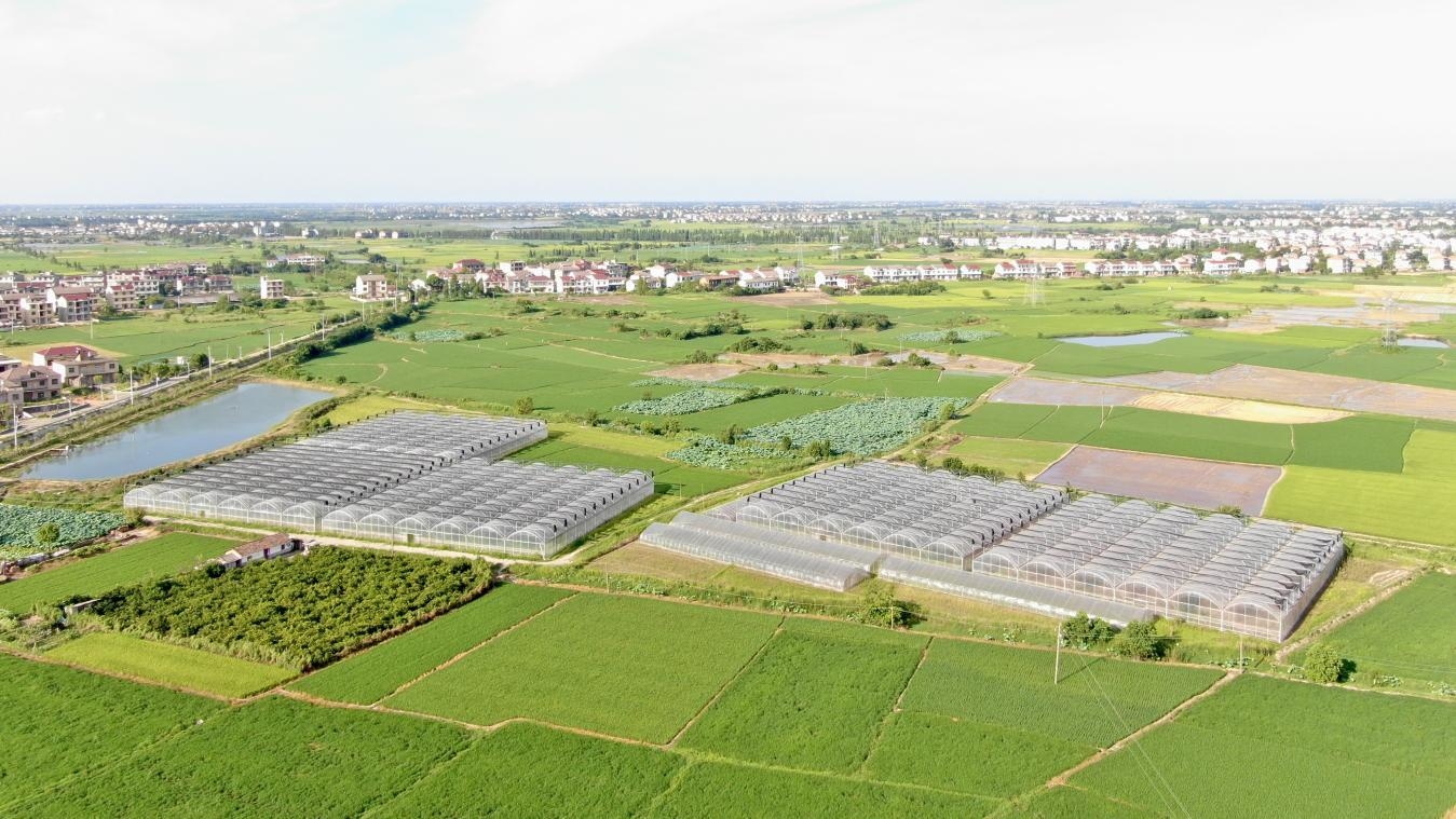 南昌县塘南镇党建引领乡村振兴_南昌县塘南镇组织建设促乡村振兴_南昌县塘南镇扩建