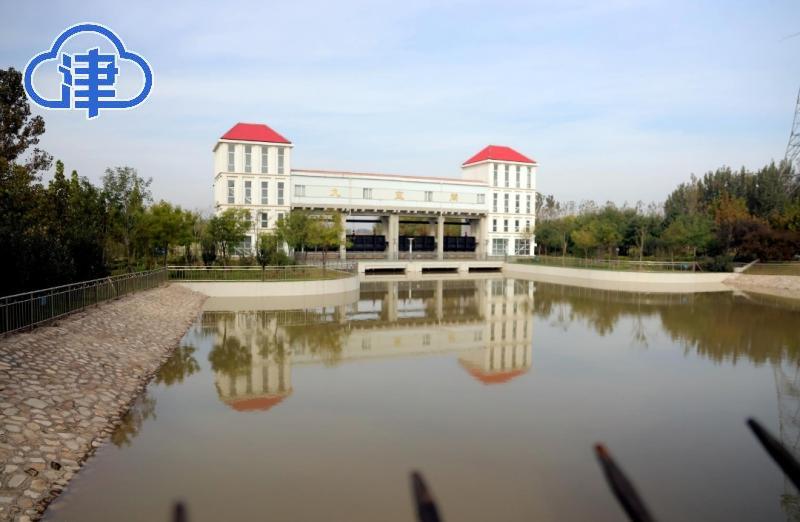 静海千年运河历史变迁_静海运河文化保护_静海荷塘月色