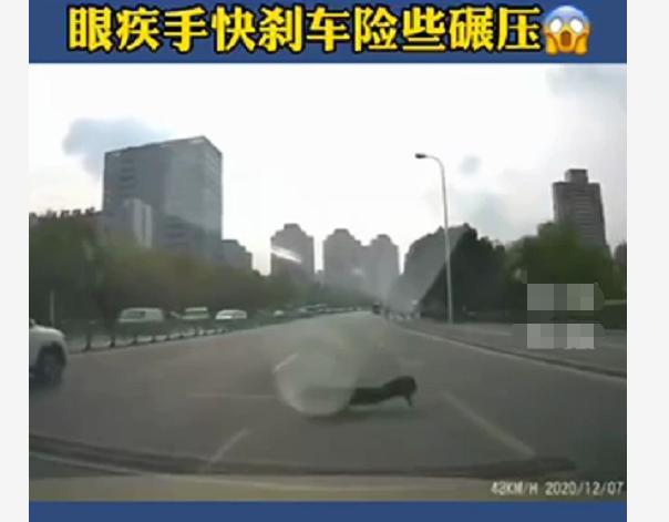 女新手首次上路，遇到“自杀式”碰瓷，女司机智应对-有驾