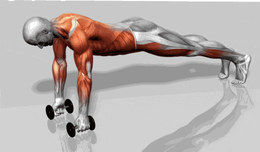 哑铃全身训练教程_力量训练延缓衰老_大型全身综合训练器