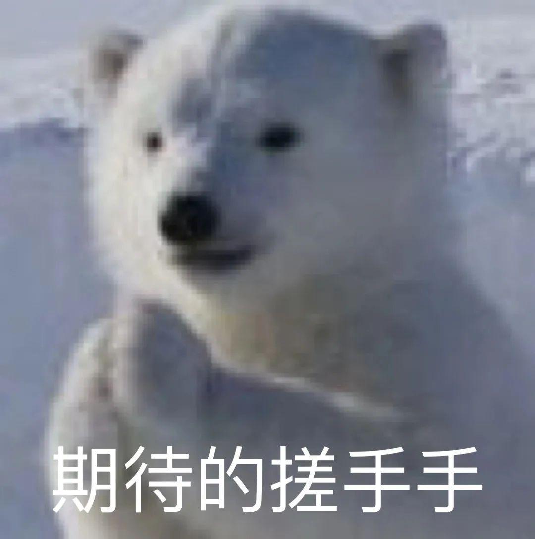 跑步机什么牌子好?__ 国产跑步机品牌排行