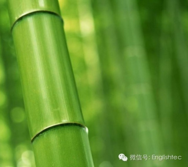 开元棋app官方下载 ing 分词用法小议