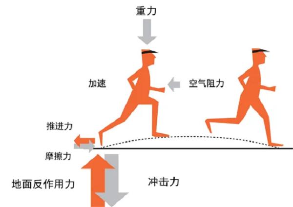 跑步机是否伤膝_sportsart跑步机多少钱_跑步机着地冲击力