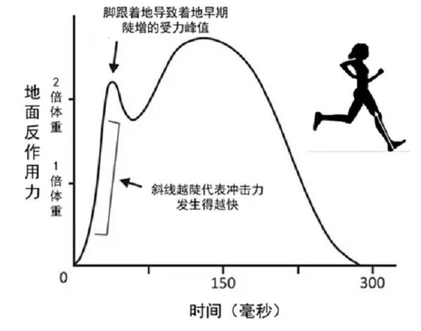跑步机是否伤膝_跑步机着地冲击力_sportsart跑步机多少钱