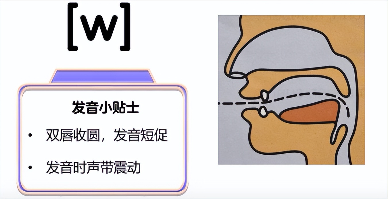 m_国际音标表发音及练习_国际音标辅音鼻音发音教程