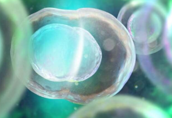 开元棋app官方下载 中国干细胞机构有哪些，前10排行榜单最新发布