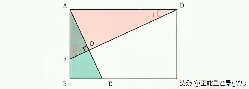 正方形性质判定几何模型_正方形翻折模型十字架模型_正方形的判定证明题练习