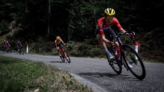 骑行自行车品牌推荐_sportsart自行车_适合城市通勤的自行车品牌