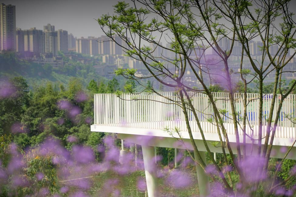 两江新区城市生态公园_重庆华侨城运动生活公园_重庆华侨城官网