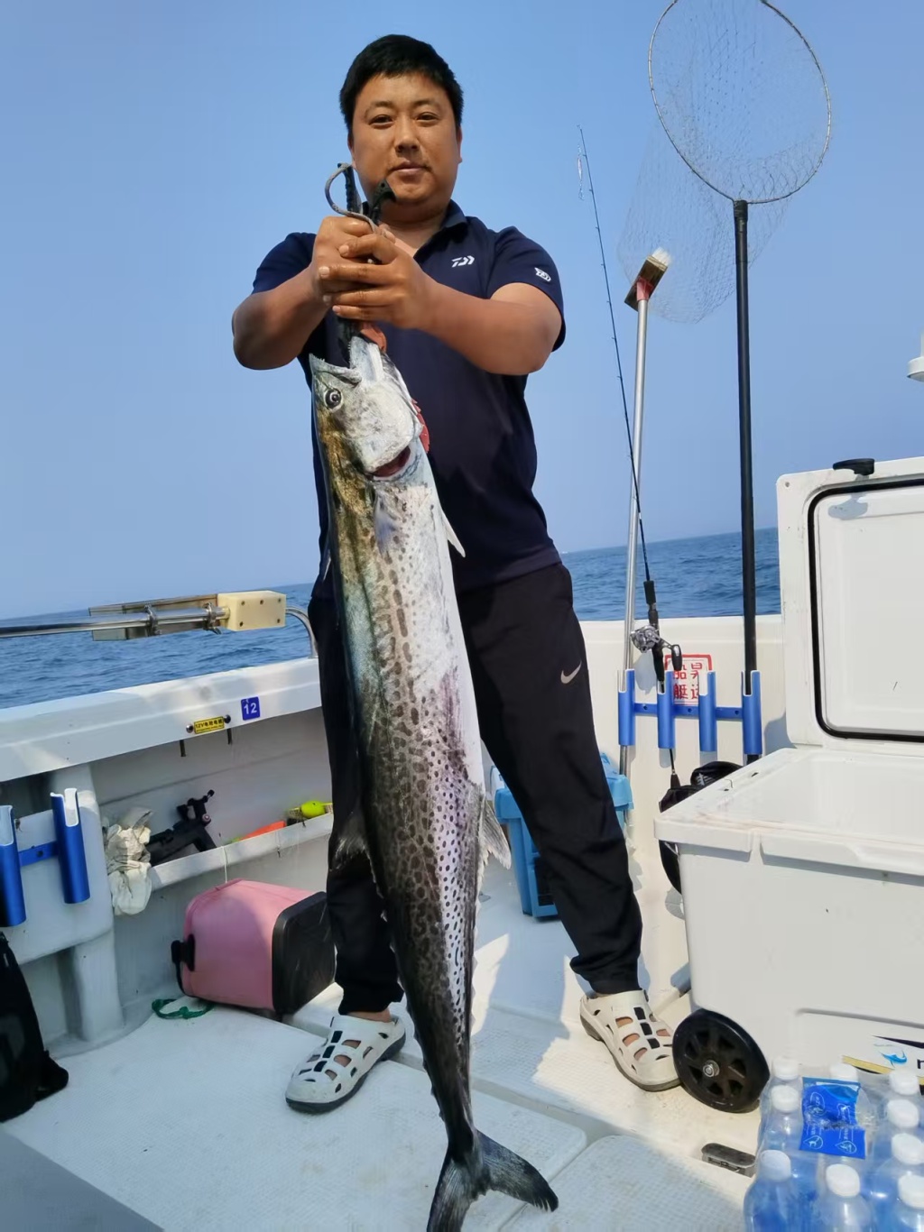 青岛海钓刀鲅_青岛海钓攻略_天津租船海钓