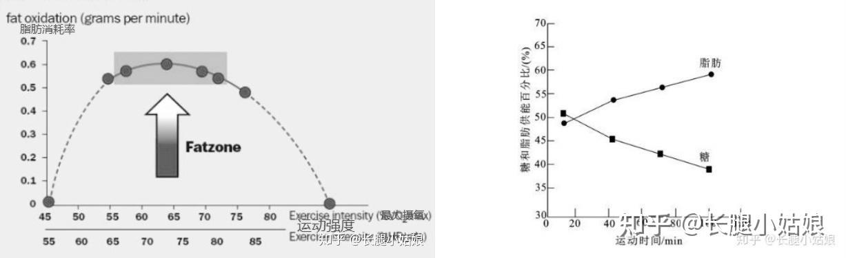 家用跑步机那个品牌好_家用跑步机关键参数_家用跑步机选购指南