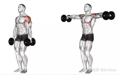 健身入门词汇_健身解剖词汇_健身手套什么品牌好